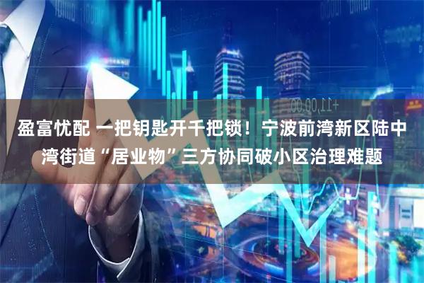 盈富忧配 一把钥匙开千把锁！宁波前湾新区陆中湾街道“居业物”三方协同破小区治理难题